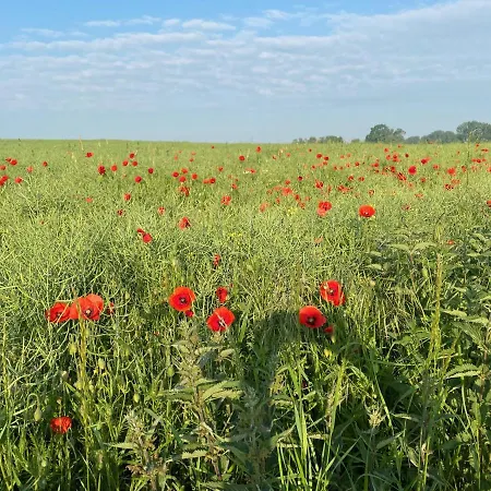 D'hotes La Chaiserie 3*