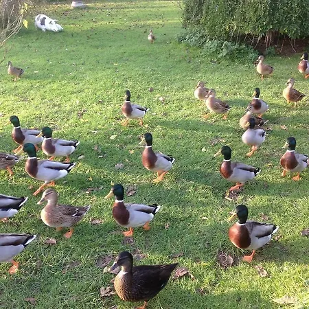 D'hotes La Chaiserie Romeries