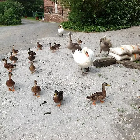 D'hotes La Chaiserie