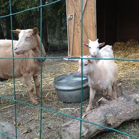 Couette-café D'hotes La Chaiserie 3*